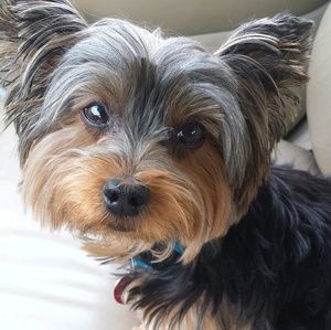 Meet your Posher, Marcia